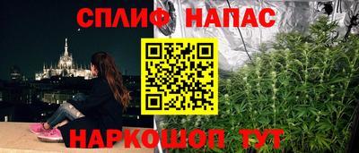 сатива Балаково