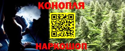 сатива Балаково