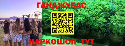 сатива Балаково