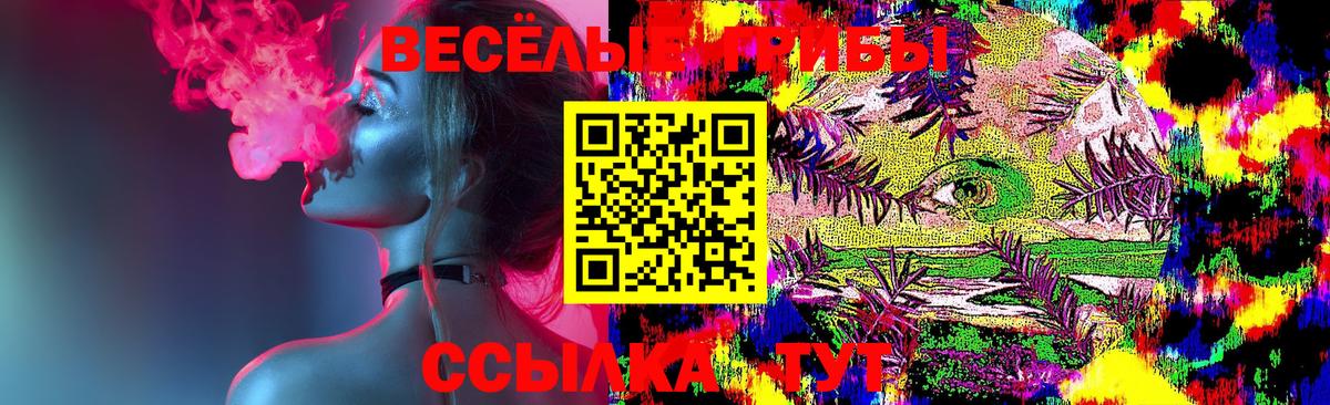 Гурьевск  Галлюциногенные грибы ЛСД  купить наркоту  Вход с VPN 