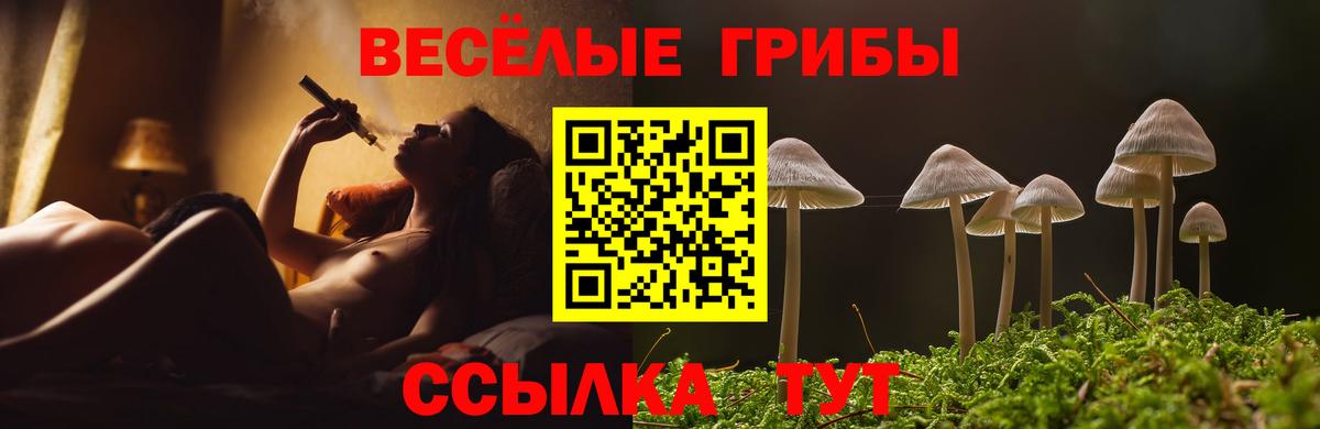 Псилоцибиновые грибы MAGIC MUSHROOMS Гурьевск
