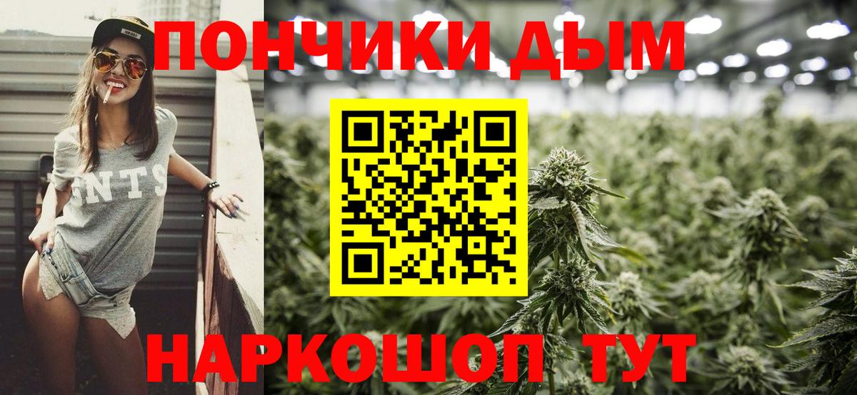 Каннабис план  Вход с VPN  Гурьевск  Бошки марихуана тримм 